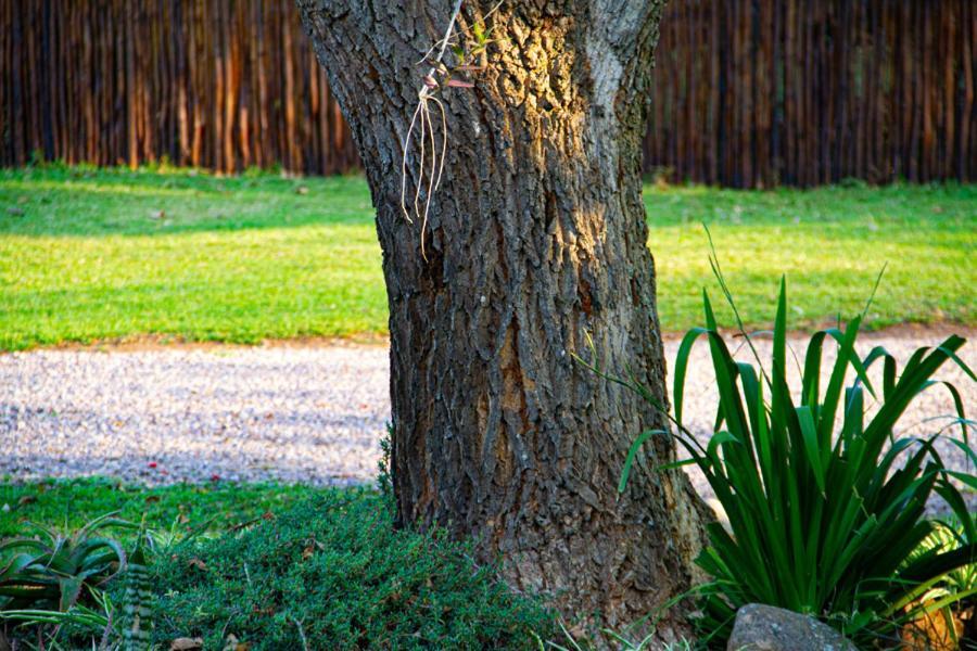 Kangelani Lodge Hillcrest Εξωτερικό φωτογραφία